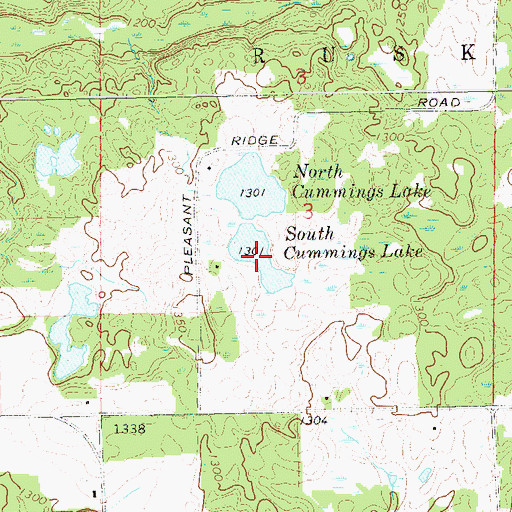 Topographic Map of South Cummings Lake, WI