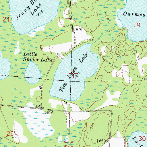 Topographic Map of Tim Lynn Lake, WI