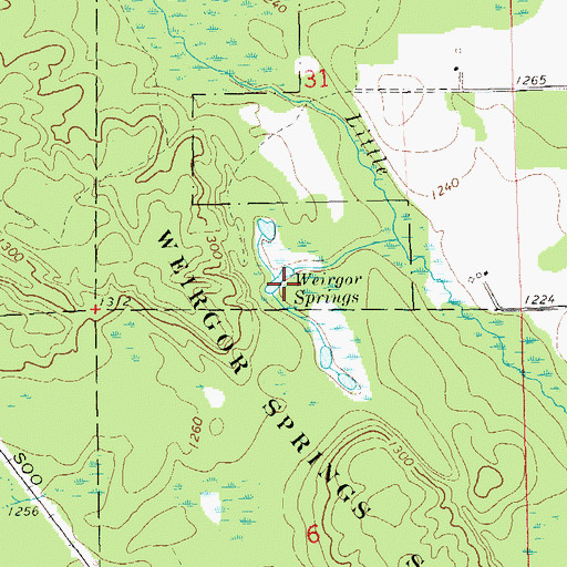 Topographic Map of Weirgor Springs, WI