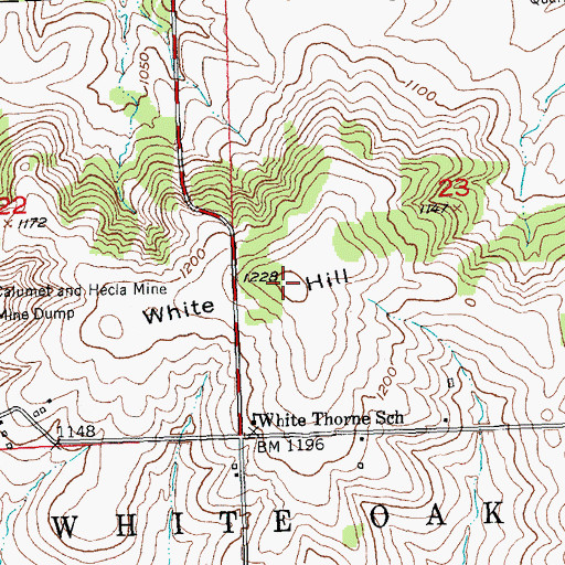 Topographic Map of White Hill, WI