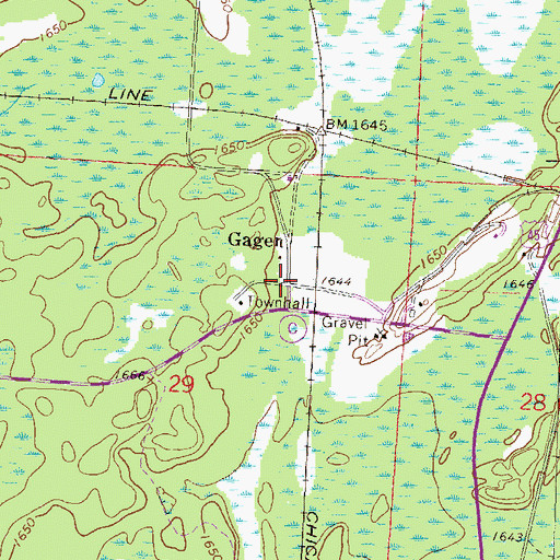 Topographic Map of Gagen, WI