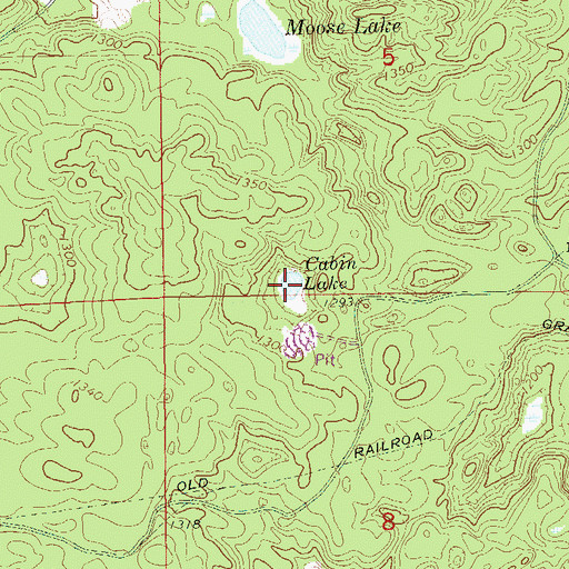 Topographic Map of Cabin Lake, WI
