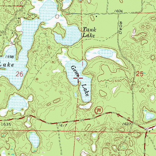 Topographic Map of Gene Lake, WI