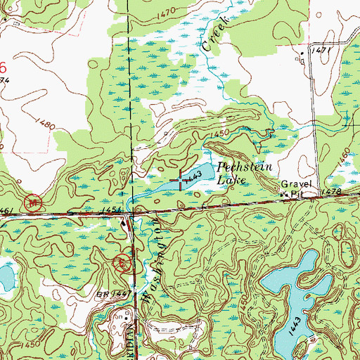 Topographic Map of Pechstein Lake, WI