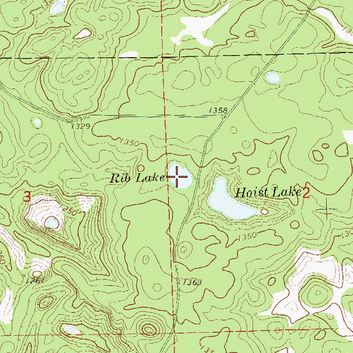 Topographic Map of Rib Lake, WI