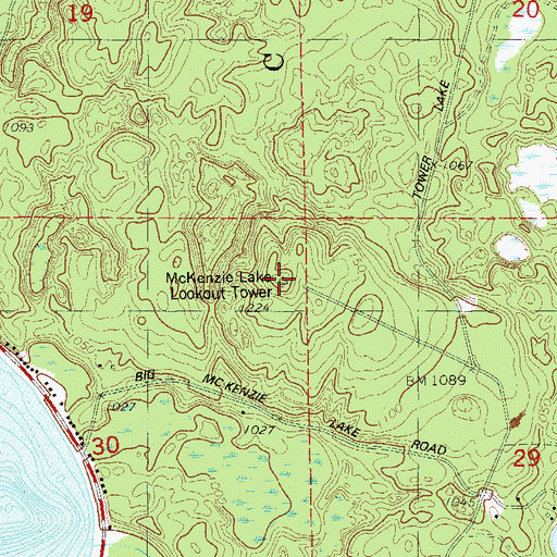Topographic Map of McKenzie Lake Lookout Tower, WI
