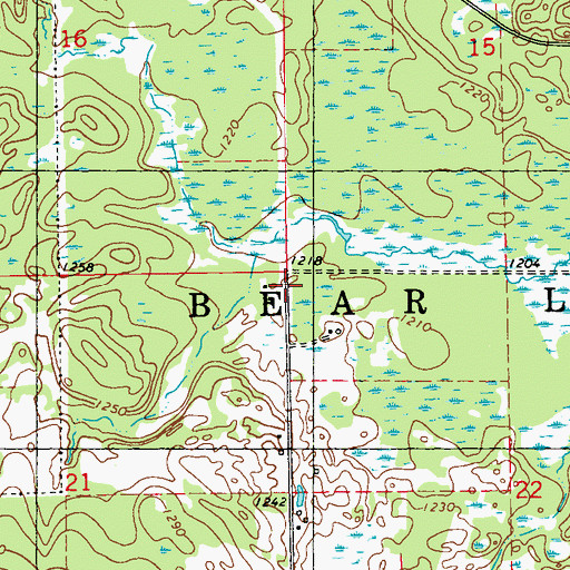 Topographic Map of Town of Bear Lake, WI