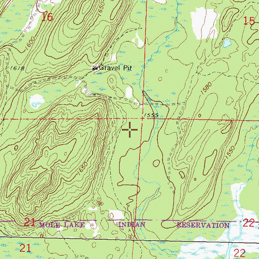 Topographic Map of Town of Nashville, WI
