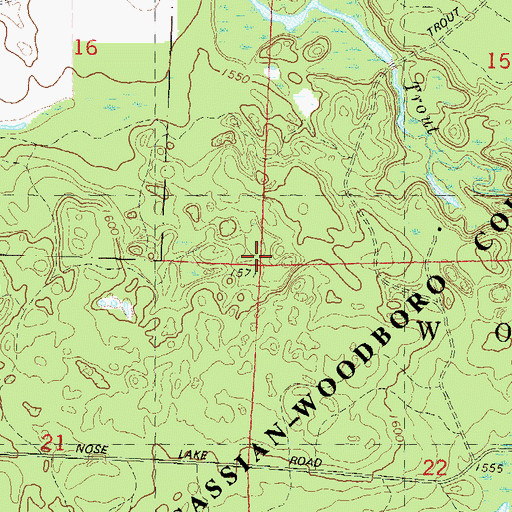 Topographic Map of Town of Woodboro, WI