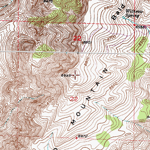 Topographic Map of Bald Mountain, WY