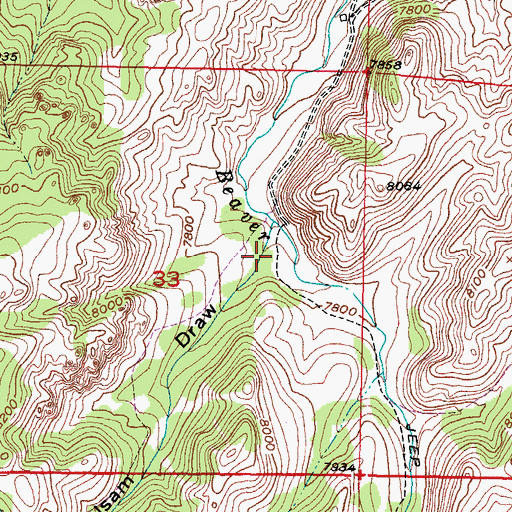 Topographic Map of Balsam Draw, WY