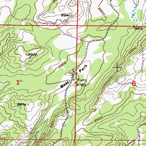 Topographic Map of Bear Park, WY