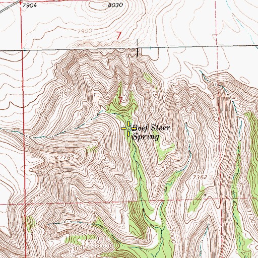 Topographic Map of Beef Steer Spring, WY
