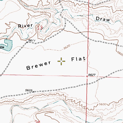 Topographic Map of Brewer Flat, WY