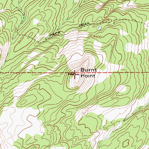 Topographic Map of Burnt Point, WY