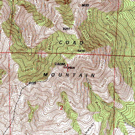 Topographic Map of Coad Mountain, WY
