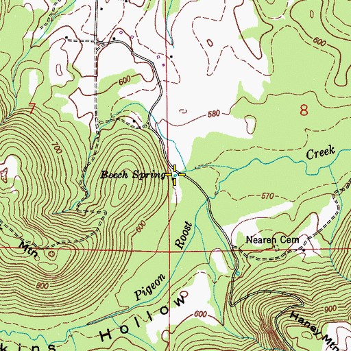 Topographic Map of Beech Spring, AL