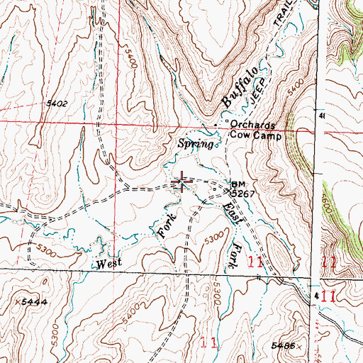 Topographic Map of East Fork Buffalo Creek, WY