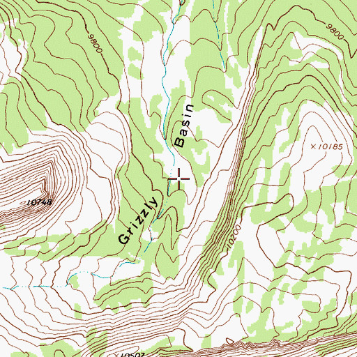 Topographic Map of Grizzly Basin, WY