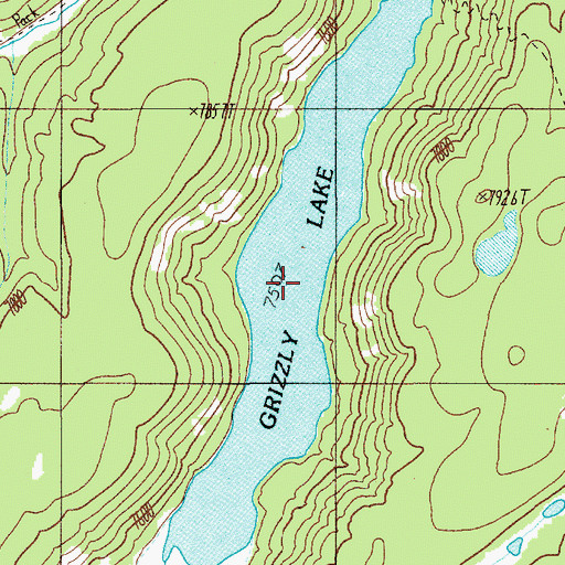 Topographic Map of Grizzly Lake, WY