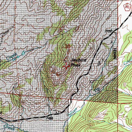 Topographic Map of Jaybird Peak, WY