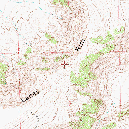 Topographic Map of Laney Rim, WY