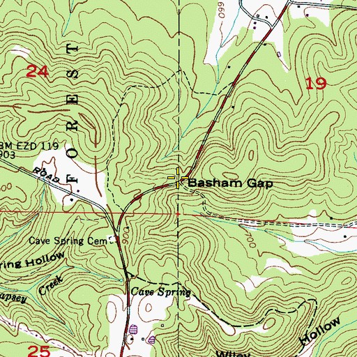 Topographic Map of Basham Gap, AL