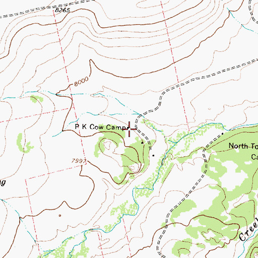 Topographic Map of P K Cow Camp, WY