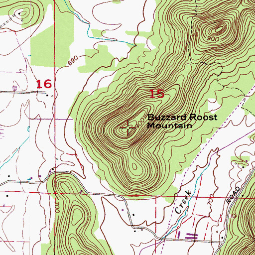 Topographic Map of Buzzard Roost Mountain, AL