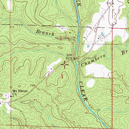 Topographic Map of Chambers Branch, AL