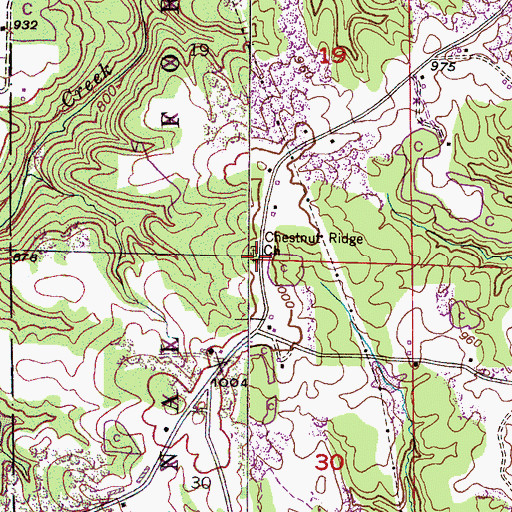 Topographic Map of Chestnut Ridge, AL