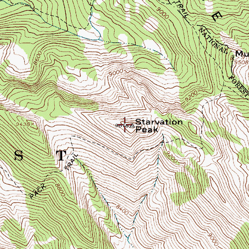 Topographic Map of Starvation Peak, WY