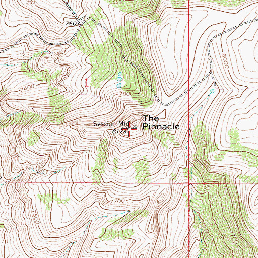 Topographic Map of The Pinnacle, WY