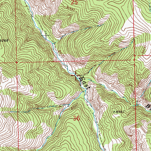Topographic Map of Buckle Creek, WY
