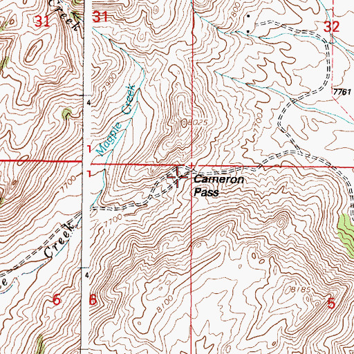 Topographic Map of Cameron Pass, WY