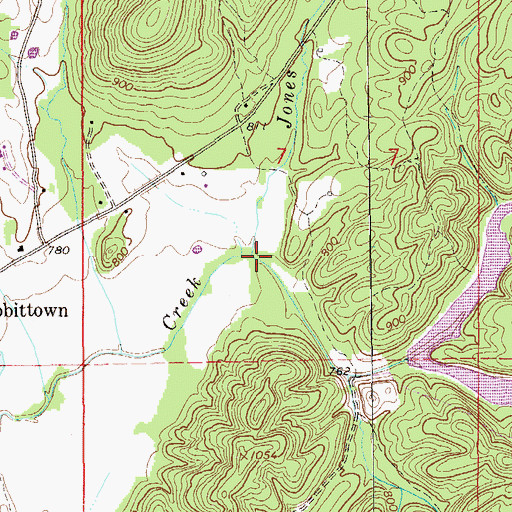 Topographic Map of Jones Branch, AL