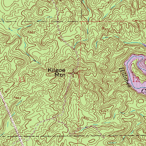Topographic Map of Kilgoe Mountain, AL