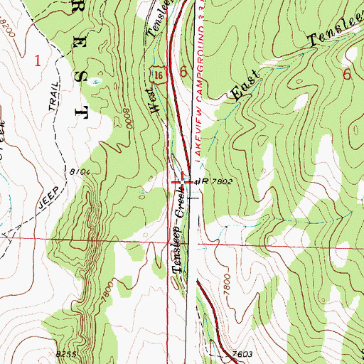 Topographic Map of East Tensleep Creek, WY