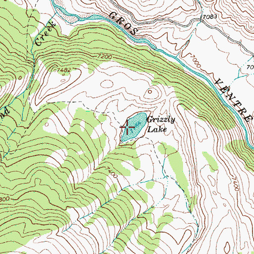 Topographic Map of Grizzly Lake, WY