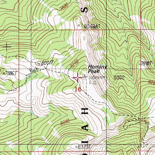 Topographic Map of Hominy Peak, WY