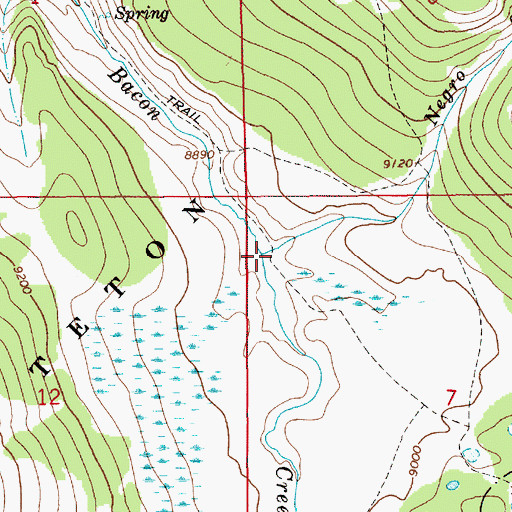 Topographic Map of Negro Creek, WY