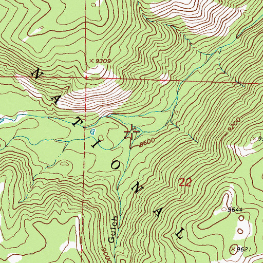 Topographic Map of Nellie Creek, WY