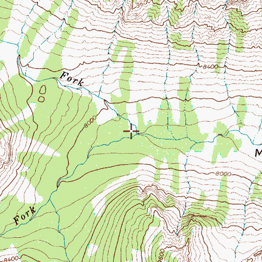 Topographic Map of North Fork Moran Creek, WY