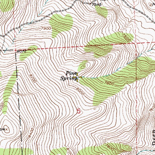 Topographic Map of Pine Spring, WY