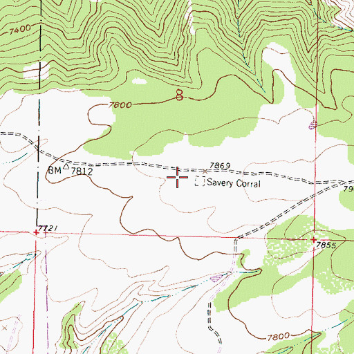 Topographic Map of Savery Corral, WY