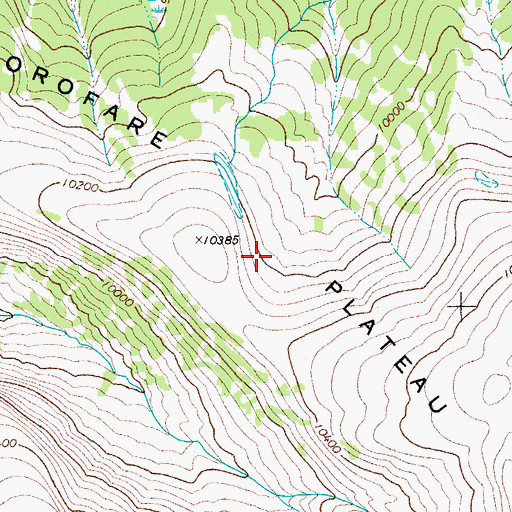 Topographic Map of Thorofare Plateau, WY