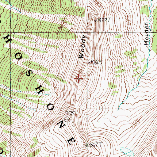 Topographic Map of Woody Ridge, WY