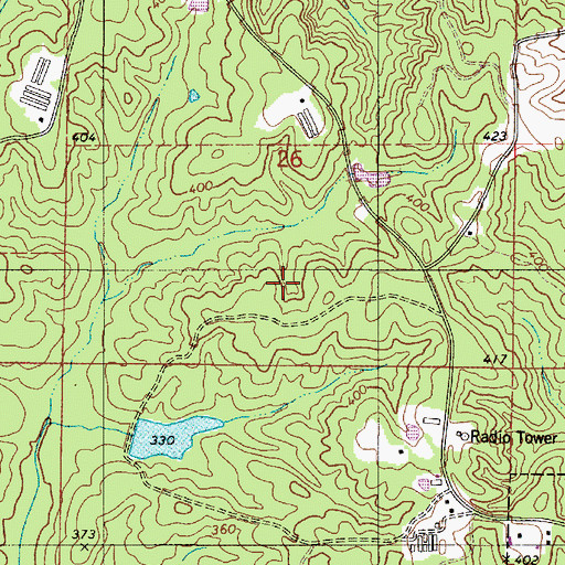 Topographic Map of Rice Lake, AL