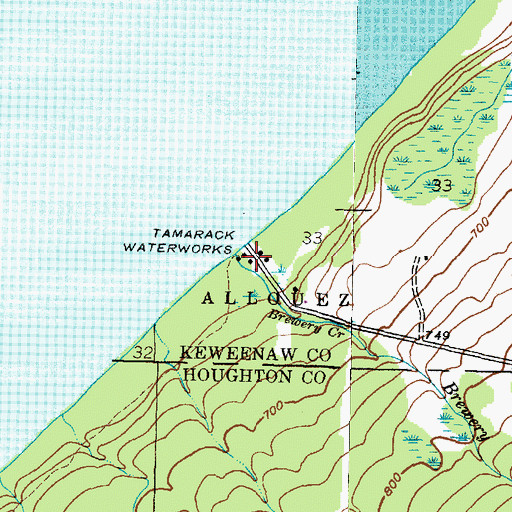 Topographic Map of Tamarack Waterworks, MI