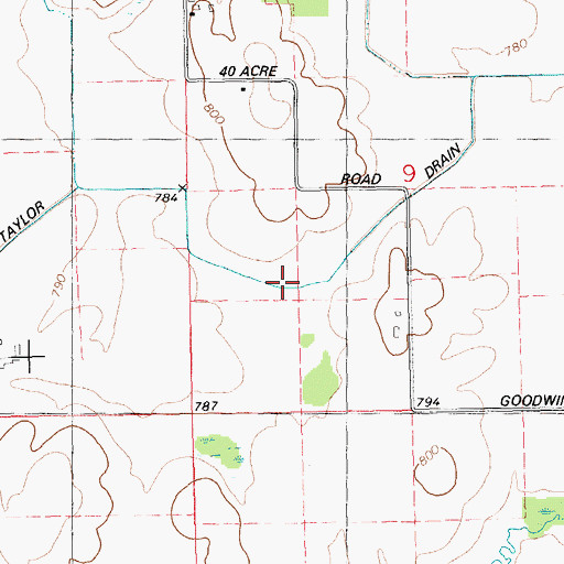 Topographic Map of Taylor Drain, MI